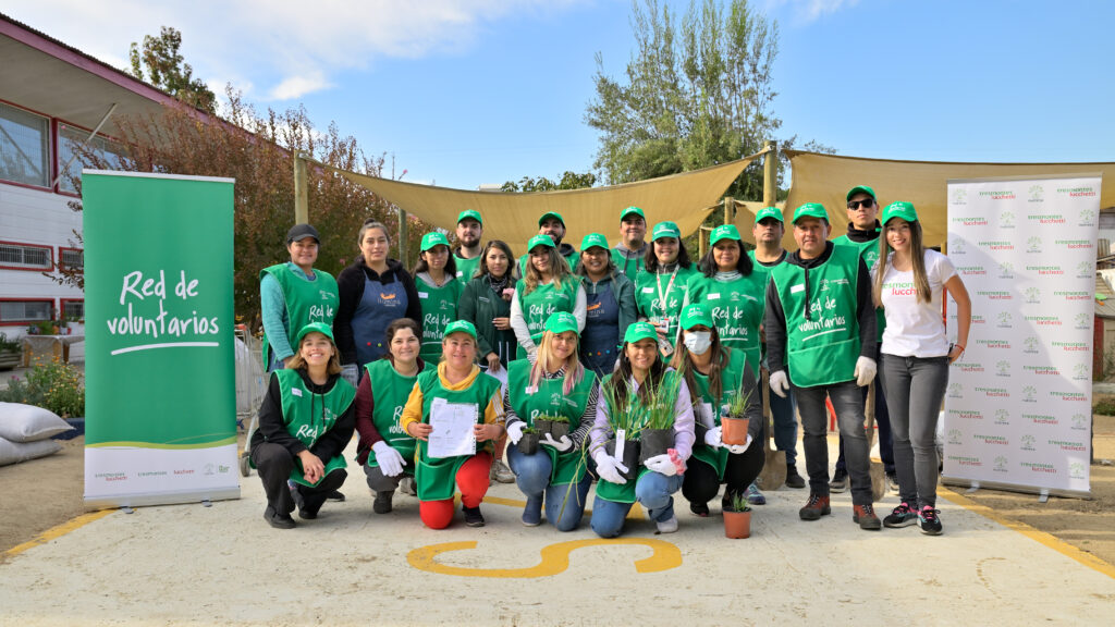 voluntarios 2